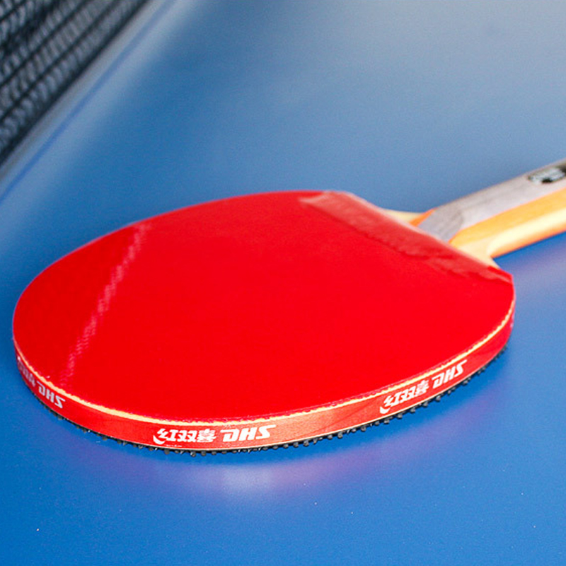 DHS Self-adhesive Table Tennis - đánh giá và giá Table Tennis Barrier